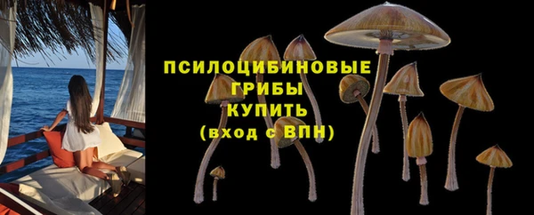 Альфа ПВП Нефтекумск