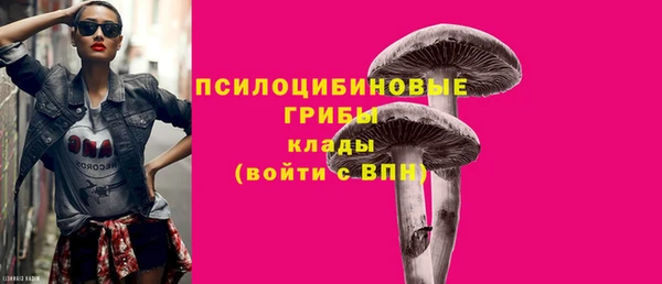 Альфа ПВП Нефтекумск