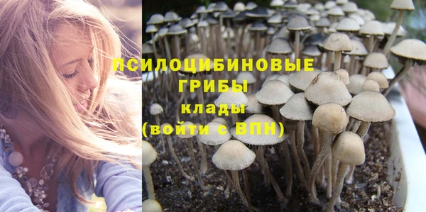 Альфа ПВП Нефтекумск