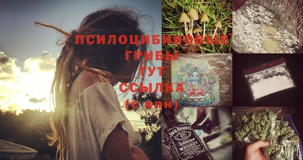 Альфа ПВП Нефтекумск