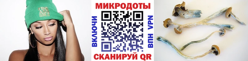 Псилоцибиновые грибы GOLDEN TEACHER  Энем 